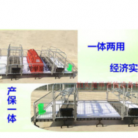 定制养殖畜牧设备母猪产床猪用产床单双体漏粪板食槽配件