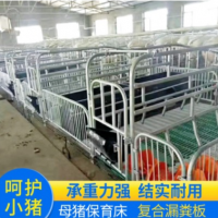 猪用产床 定位栏全复合板双体母猪产床仔猪分娩栏