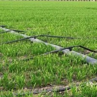 农田灌溉滴灌带、农作物灌溉滴灌带生产厂家